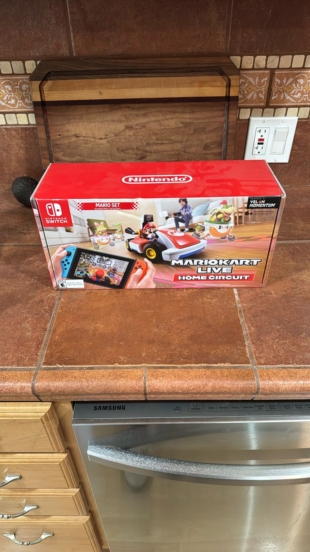 Mariokart Live Home Circuit