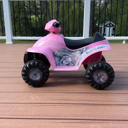 Toddler 1-3 Year Old Quad