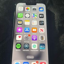 iPhone 13 Pro Max 128 Gbs Unlocked 