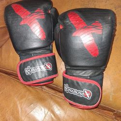 Hayabusa Boxing Gloves 