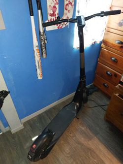 Bird Electric Scooter