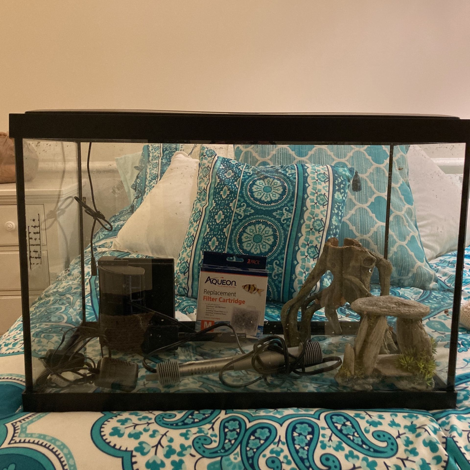 20g Fish Tank