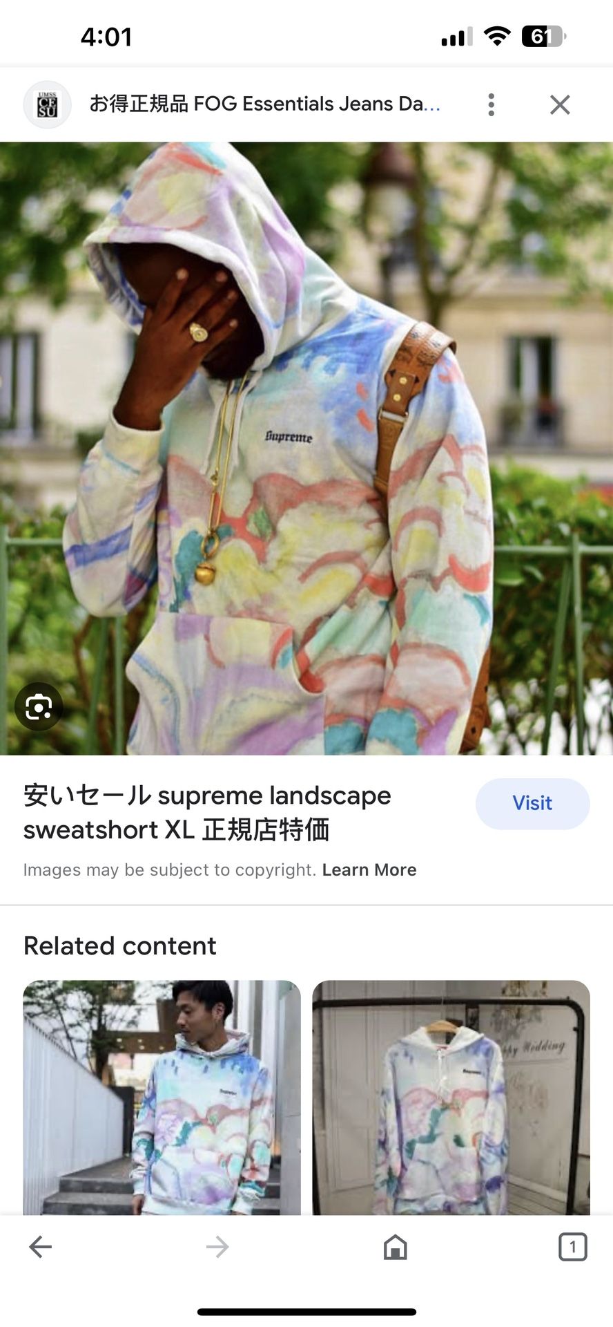 Supreme Landscape Hooded Sweatshirt Multicolor for Sale in