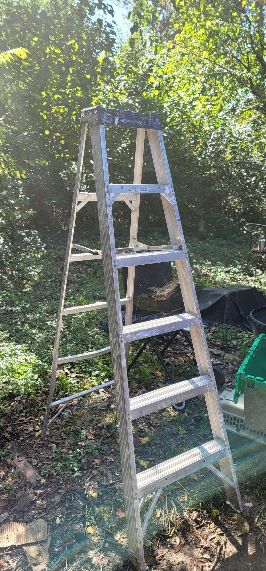 6ft lAdder