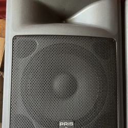 Peavey USA Passive Speaker