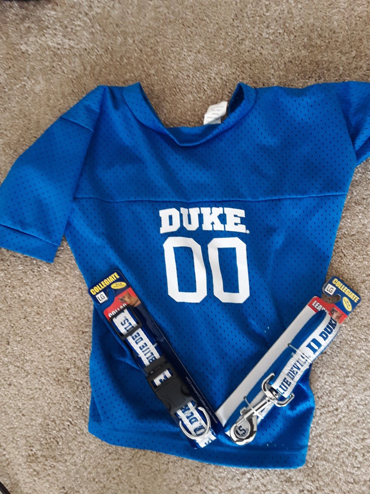 Duke shirt, collar and leash for a dog