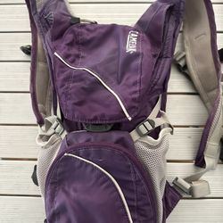 Vintage CamelBak Lobo Hydration Backpack - Purple