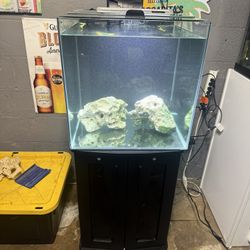35 Gallon Aquarium 