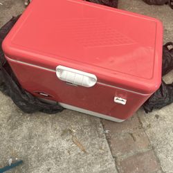 Coleman Cooler 