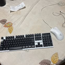 Keyboard For 20 Dollars Not Including Mouse 