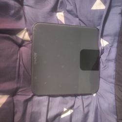 Weight Scale 