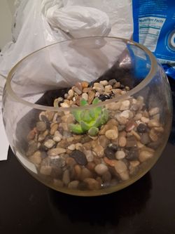 Fish round tank (rocks included)
