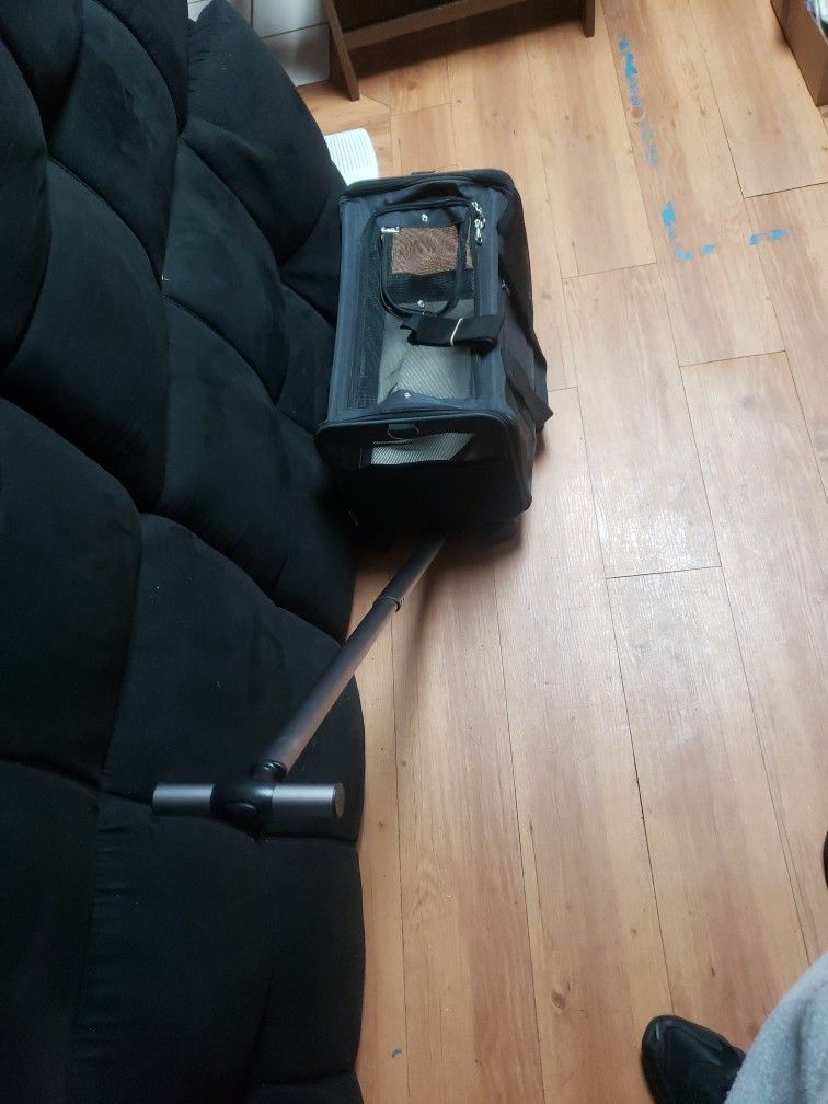 small pet carry case