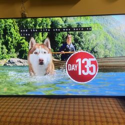 Insignia 50 Inch Tv With Mount (not a smart tv)