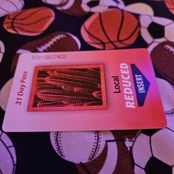 31 Day Valley Metro Fare