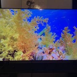 Samsung 8 series 55 Inch Tv 