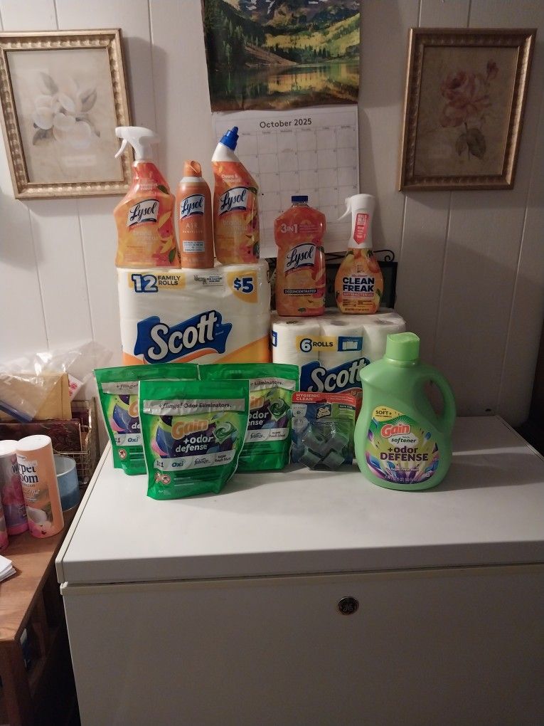 Gain/lysol Bundle