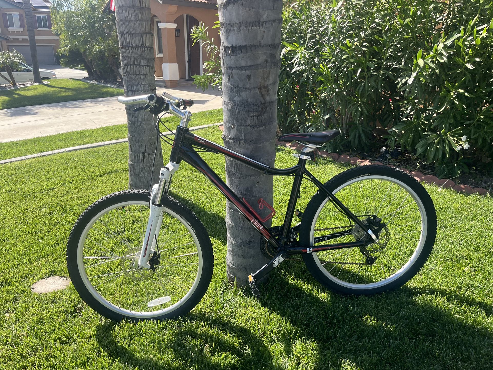 Giant Rebel w Mountain Bike