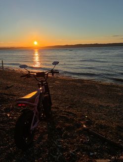 FAT TIRE VICTRIP E BIKE 29 MPH