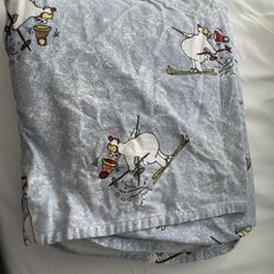 Carton Bed Sheet Kid twin Size 