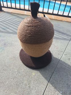 Acorn Cat Scratcher 