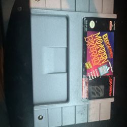 Exertainment Mountain Bike Rally Snes “ Rare”