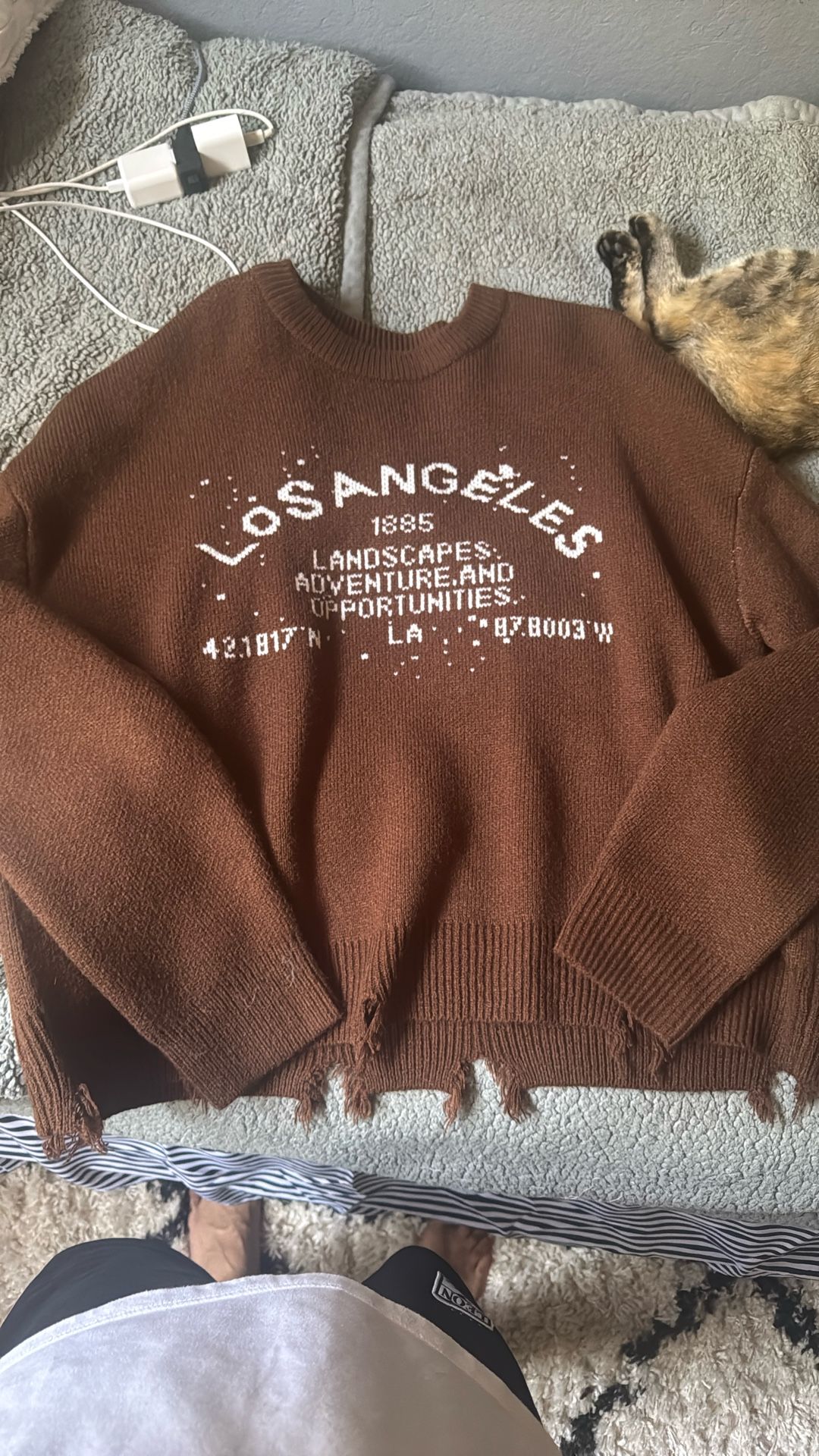 Brown Sweater