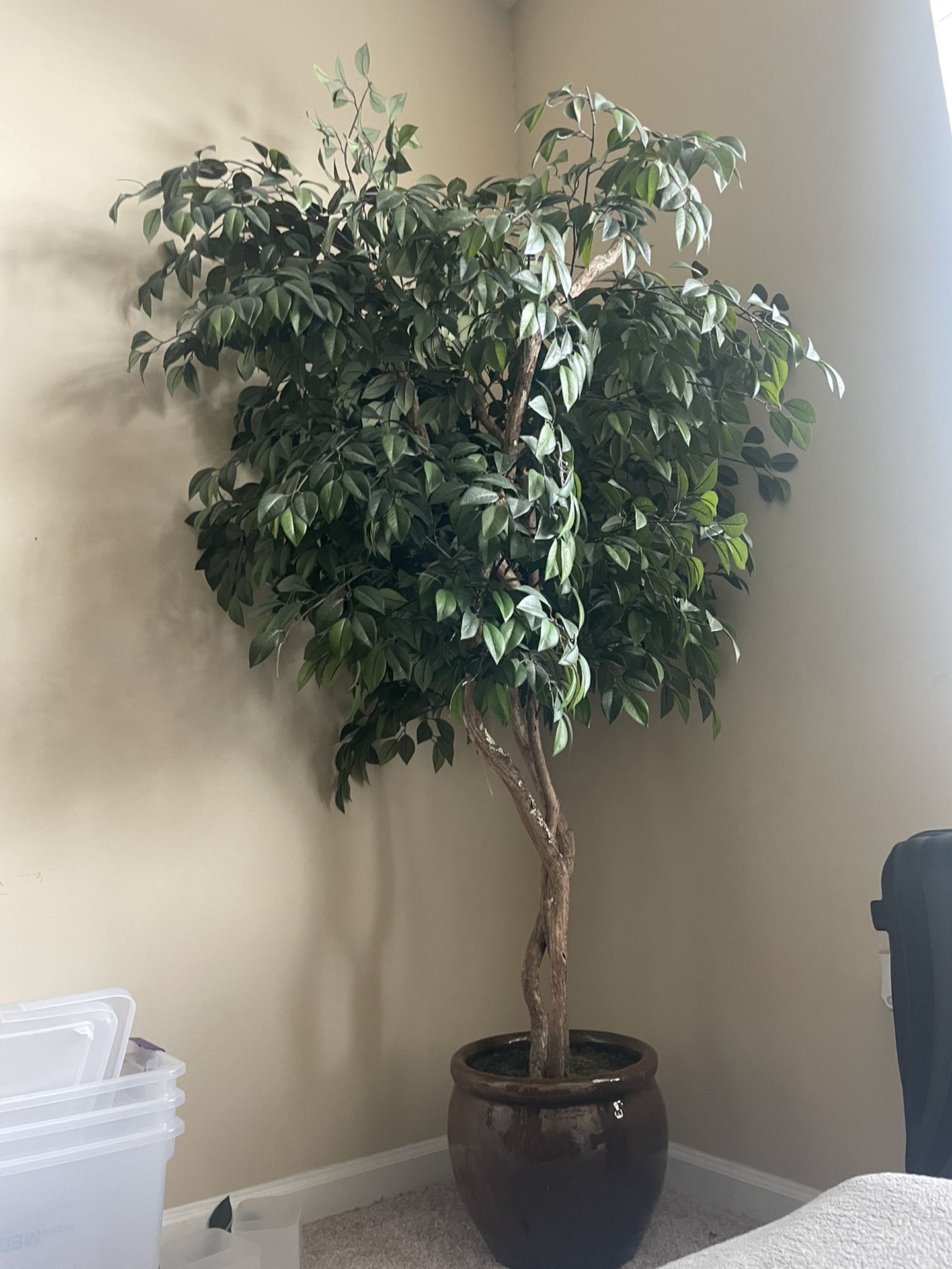 Fake / Decorative Tree And Plants