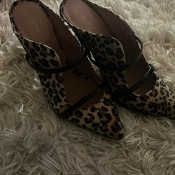 Ladies Heels Cheetah Print