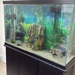 Aquarium 45 Gallon 