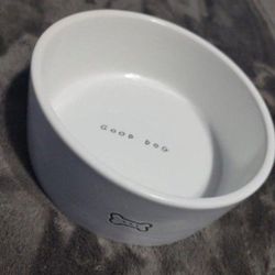 Dog Bowl 