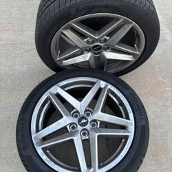 Mustang Rims