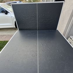 Ping pong table “Free” 