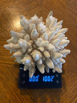 Vintage real coral1002g