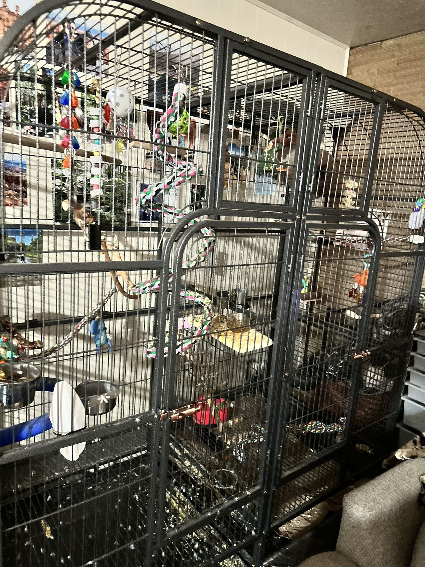 Xl Bird Cage