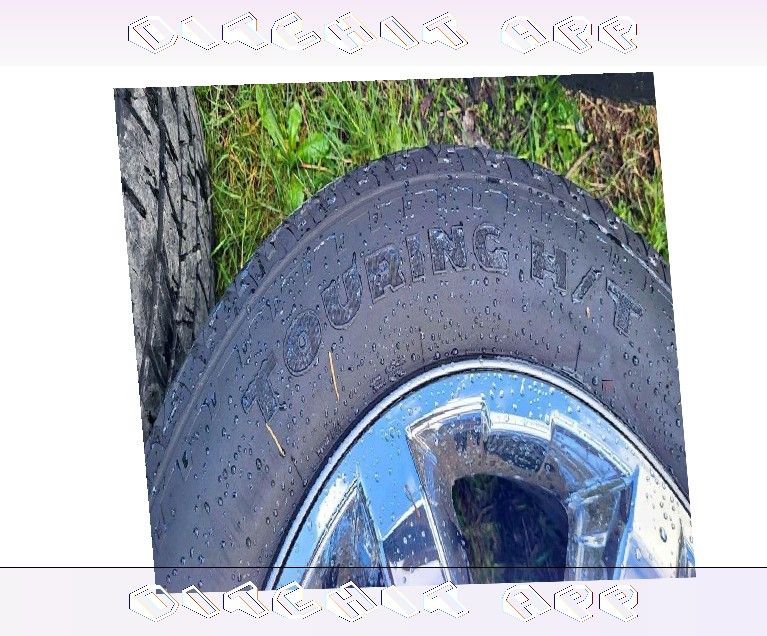 participant friend Travel Smooth with All Ford Tire Options in Stock