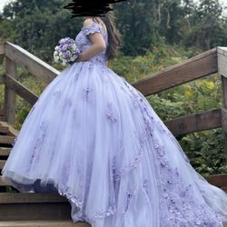 Quinceañera / Sweet 16 Dress
