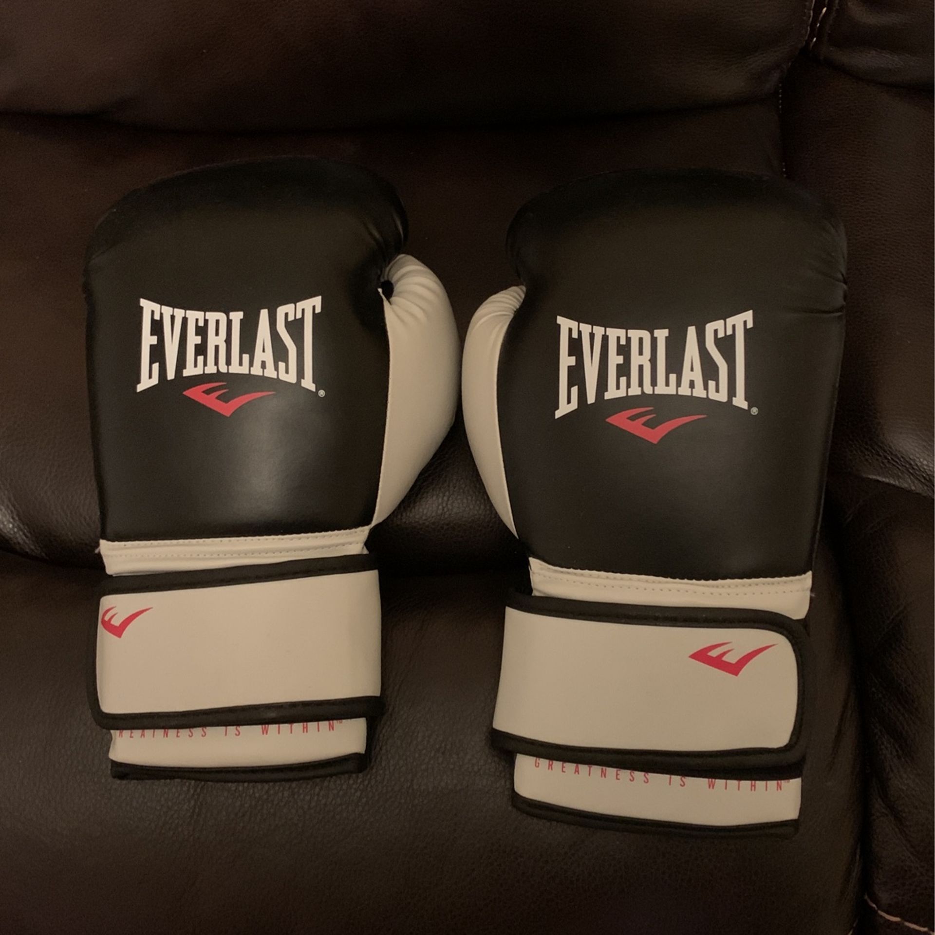 Everlast Pair Of Boxing Gloves Size L 16oz