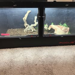 Reptile Enclosure 