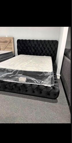 New queen Bedframe