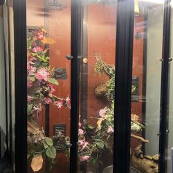 RED TAIL BOA cage w decor