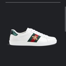 Gucci Shoes