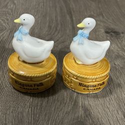 Niagara Falls Salt And Pepper Shakers
