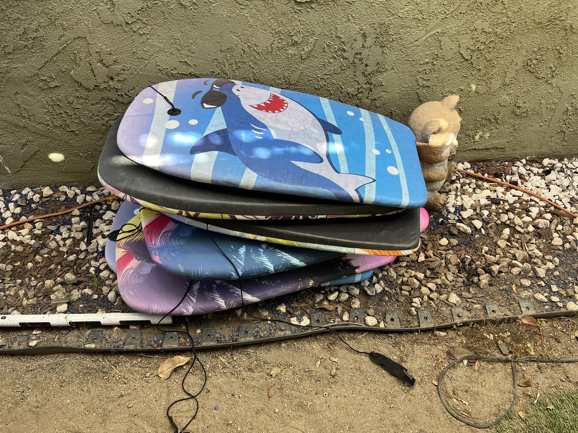 FREE,FREE BOOGIE BOARDS