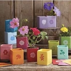 Red Envelope Windowsill Garden A Year in Seeds w/12 Ceramic Candy-Color Pots