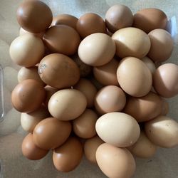 Fresh Cage Free Brown Eggs 