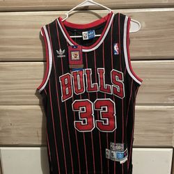 Pippen Jersey 