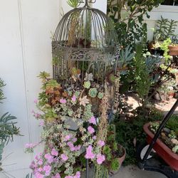 Large Rustic Bird Cage 