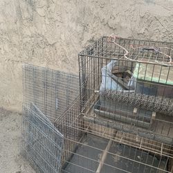 Chicken Cage/jaulas
