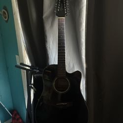 Takamine G Series
